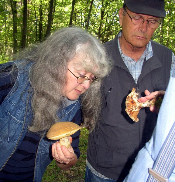 2009 07 Myco Gros taillis 20